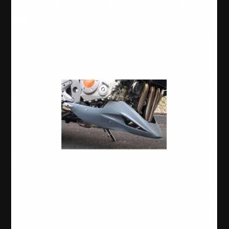 Belly pan for Honda CBF 1000 06/08                                                                                              