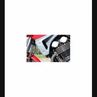 lateral fairings for Yamaha Fazer 600 98/01                                                                                     