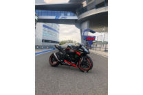 Carene Racing Verniciate Kawasaki Zx10R 2016 - 2020 -   MXPCRV12538